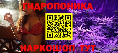spice Жуковский