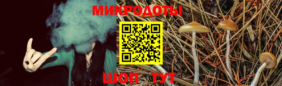 Лениногорск  Псилоцибиновые грибы Magic Shrooms  Псилоцибиновые грибы MAGIC MUSHROOMS  Вход с VPN 