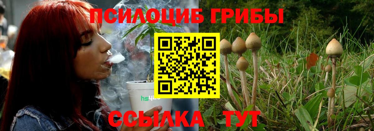 Галлюциногенные грибы GOLDEN TEACHER Лениногорск